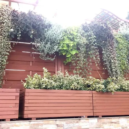 Rades Władysławowo