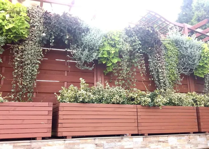 Rades Władysławowo