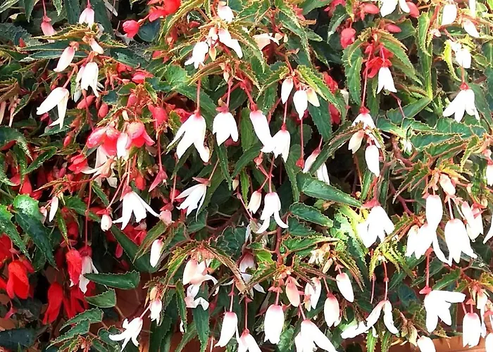 Nocleg ze śniadaniem Rades 3*